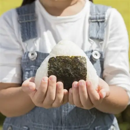 【令和7年産】宮城県　色麻町　ひとめぼれ　精米　5kg【配送不可地域：離島・沖縄県】【1690244】