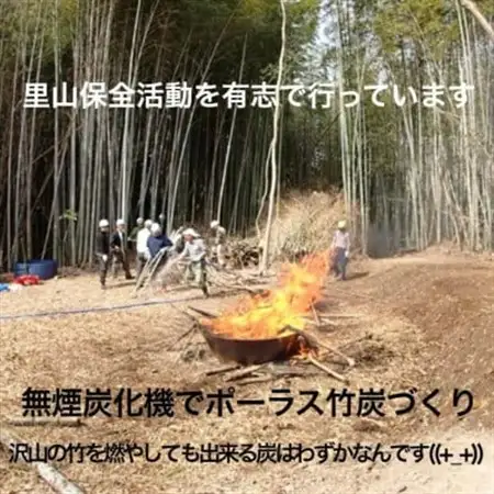園芸用に ポーラス竹炭10リットル やわらかな多孔質の炭 竹炭の力【1689190】