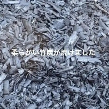 園芸用に ポーラス竹炭20リットル やわらかな多孔質の炭 竹炭の力【1689384】