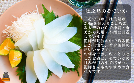徳之島の漁師が荒波で釣り上げたそでいか 3種盛り お刺身・いかキムチ・つけあげ （ ３つの美味しさ ソデイカ いか イカ ）