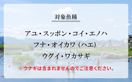 【令和8年度】ウナギを除く全魚種 遊漁年券(1枚)　日田市 / 日田漁業協同組合 鮎 アユ 釣り[ARFJ001]