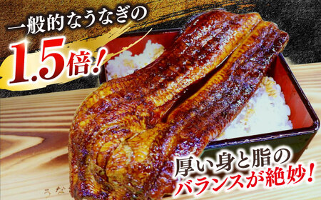 【6回定期便】うなぎ老舗専門店のパリっとふっくら 紅白うなぎ 蒲焼・素焼半身　(真空パック/秘伝のタレ・藻塩付き) 島根県松江市/株式会社山美世商会[ALDC017]