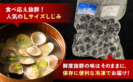 【全6回定期便】産地直送！宍道湖産 冷凍大和しじみLサイズ1kg(500g×2) 砂抜き処理済 島根県松江市/りすたむmatsue[ALDE023]