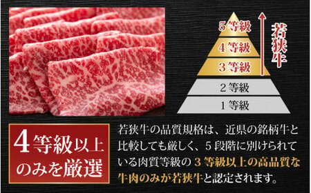 【肉の定期便×12回コース】肉好き大集合！若狭牛 食べ比べ 定期便！【福井のブランド牛肉】【4等級以上】[O-058002]