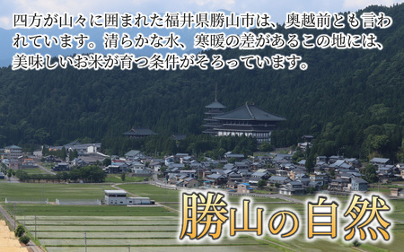 【定期便3ヶ月連続】勝山のお米コシヒカリ 精米 5kg（計 15kg） [E-010034]