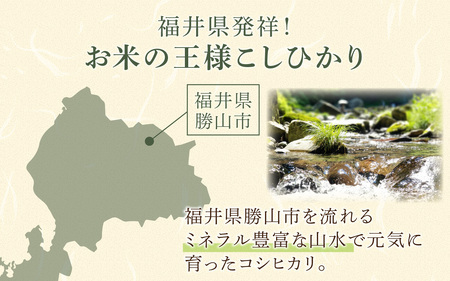 【勝山市産】田中さんちのコシヒカリ 玄米 5kg [A-080007]