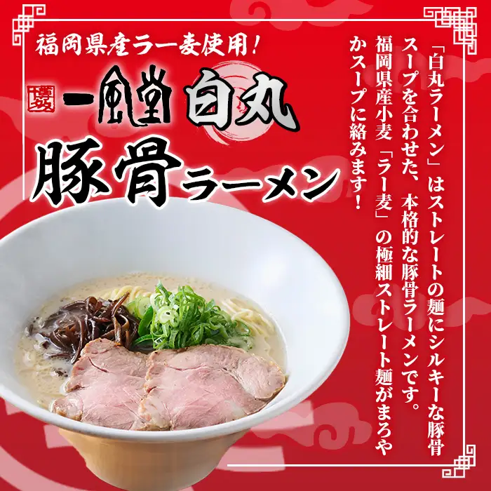 一風堂 白丸 ラー麦麺セット (8食入り) ラーメン 拉麺 麺 ラー麦 博多ラーメン 豚骨ラーメン 白丸 一風堂 ストレート麺 豚骨スープ 【フーデリジェンス】as17-005