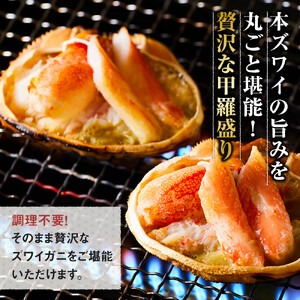 本ズワイ 甲羅盛り 6個入り ズワイガニ カニ 蟹 かに 甲羅 甲羅盛り むき身 かにみそ カニ味噌 ほぐし身 ずわい蟹 小分け