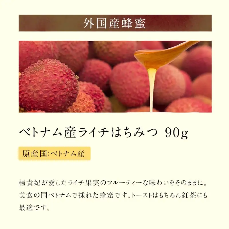 かの蜂 蜂蜜 エコパック ベトナム産ライチ蜂蜜 90g×1袋 メール便 はちみつ ハチミツ ライチ フルーティー 便利 パンケーキ トースト ヨーグルト 福岡県 八女市 ポスト投函 簡易包装 訳あり 024-099