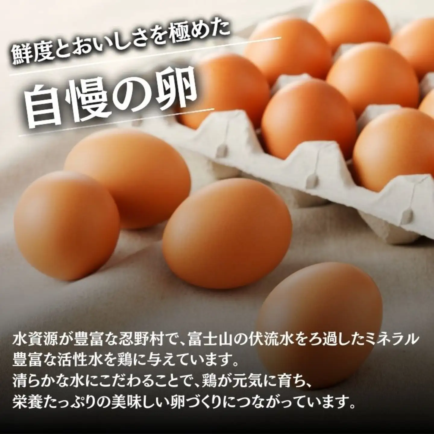 【忍野のたまご】コクの赤玉【10㎏】