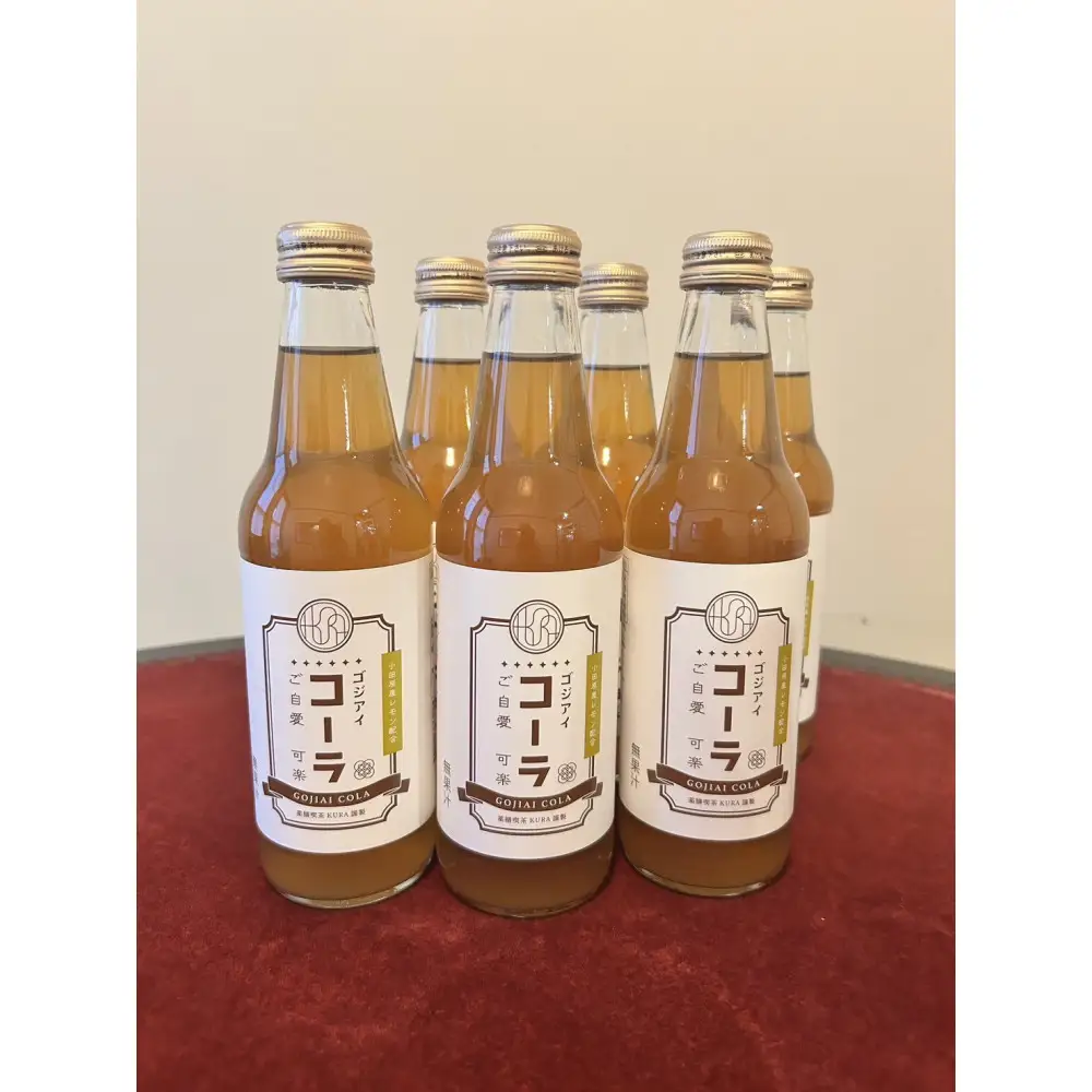 薬膳喫茶KURAオリジナル ゴジアイコーラ6本セット（各340ml）【 飲料 ドリンク 神奈川県 小田原市 】