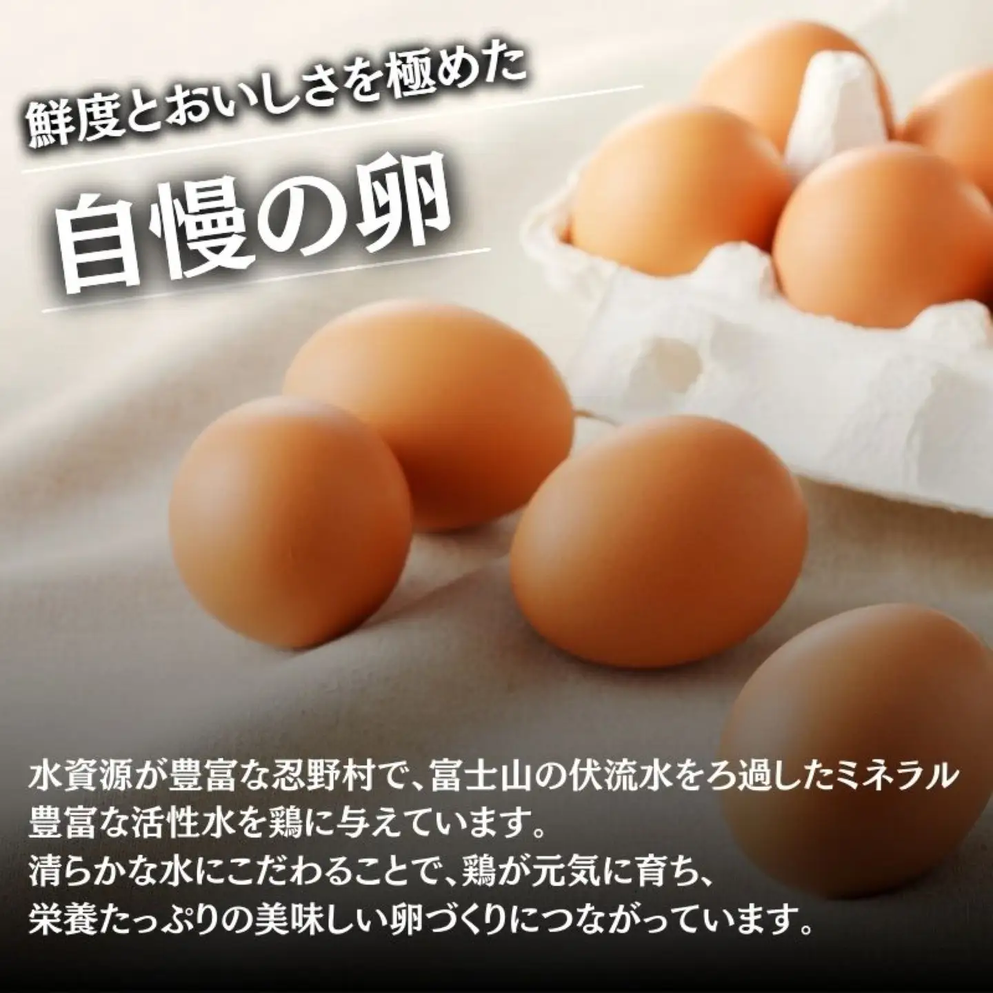 【定期便】忍野の平飼い放牧卵　12か月連続定期便（毎月30個×12か月　合計360個）|たまご 卵かけご飯 たまご タマゴ 健康 玉子
