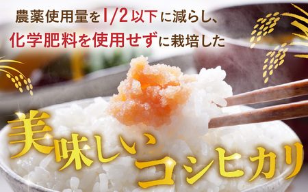 令和7年産 特別栽培米 コシヒカリ匠 2kg 節減対象農薬当地比5割減【白米】お米 コシヒカリ  [A-2991_01]