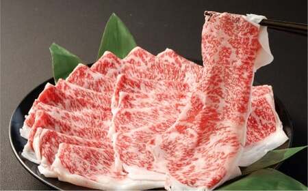 特撰ローススライス（約500g） 肉 お肉 牛肉 牛 ロース スライス 薄切り 冷凍 岡山県 倉敷市