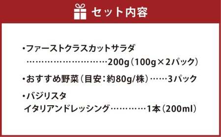 【Ortolano】ファーストクラスのサラダ＆ドレッシングセット A サラダ ドレッシング 詰め合わせ セット 野菜 岡山県 倉敷市