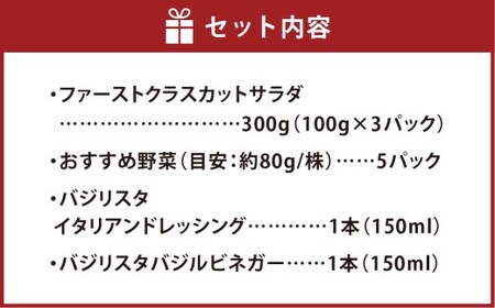 【Ortolano】ファーストクラスのサラダ＆ドレッシングセット B サラダ ドレッシング 詰め合わせ セット 野菜 岡山県 倉敷市