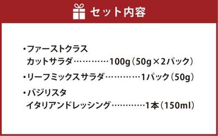 【Ortolano】ファーストクラス機内食提供のサラダセット サラダ ドレッシング セット 野菜 岡山県 倉敷市