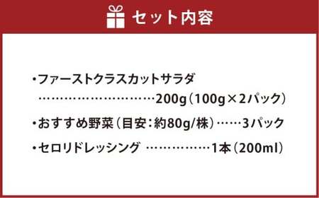 【Ortolano】ファーストクラスのサラダ＆セロリドレッシングセット S-1 サラダ ドレッシング 詰め合わせ セット 野菜 岡山県 倉敷市
