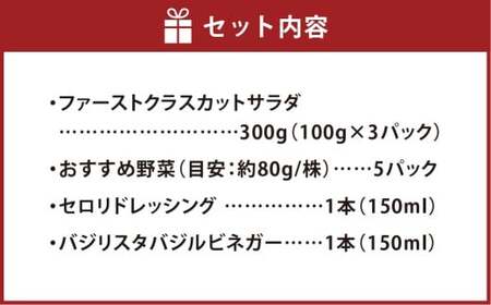 【Ortolano】ファーストクラスのサラダ＆セロリドレッシングセット S-2 サラダ ドレッシング 詰め合わせ セット 野菜 岡山県 倉敷市
