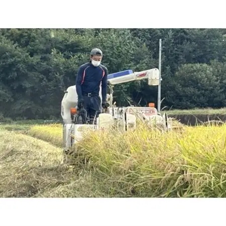 【令和8年度産】お米コシヒカリ(精米) 10kg【ストロベリーみなみ】【1691178】