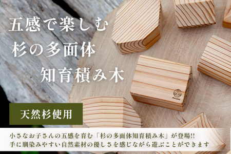 五感で楽しむ-杉の多面体知育積み木 B-878