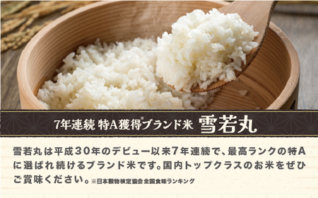 令和7年産 精米 雪若丸 10kg ko-ywsxa10
