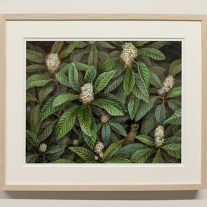 池上夏生 額付き高級プリント ”枇杷の花といたち”