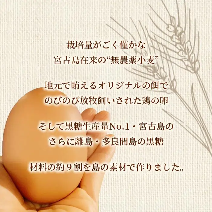 みやこのシフォンケーキ　2箱（12カット）（HB008）