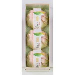 〈宗家 源吉兆庵〉清水白桃ぜりぃ3個入〈高島屋選定品〉