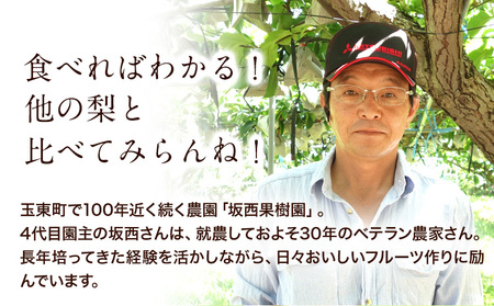 『坂西果樹園』の豊水梨 期間限定 たっぷり約5kg(8-15玉前後)こだわり抜かれた栽培方法！予約受付中 熊本県玉名郡玉東町産『坂西果樹園』なし 豊水 果物 スイーツ フルーツ デザート スムージー 熊本県玉東町《8月中旬-9月中旬頃出荷》｜ブランド梨 人気梨 特産品梨 熊本県梨 玉東町梨 大人気返礼品