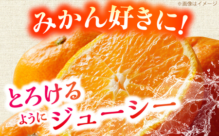 【先行予約】＜サイズおまかせ＞高知県産温州みかんA級品 約5kg ＜2026年11月上旬～2026年12月下旬頃発送＞ / みかん 柑橘 オレンジ 高知県 温州 【株式会社にしごみ】[ATEA009]