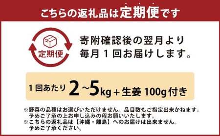【定期便12回】旬の野菜の詰め合わせと栽培期間中農薬不使用の生姜100g付き 詰め合わせ 野菜セット 野菜 ギフト やさいセット お取り寄せグルメ 家庭用 旬野菜 新鮮 特産 農薬不要 食材