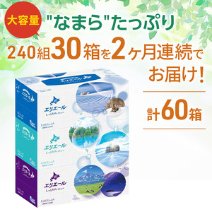 【2ヵ月連続お届け・計60箱】エリエール 北海道 しっとりティシュー なまらたっぷり 240組3箱 10パック ふるさと納税限定デザイン ボックスティシュー 箱ティッシュ ペーパー 備蓄品 花粉 保湿成分