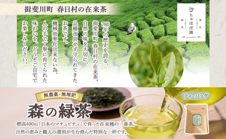 森本工房 森の緑茶 ティーバッグ 2g 16p 3袋 お茶 茶 緑茶 日本茶 茶葉 煎茶 国産 日本産 岐阜県産 香り豊か うまみ 香り ホット アイス すっきり 甘み 苦味 お好み 一番茶 ちゃぼぼ園 日本のマチュピチュ お取り寄せ 送料無料 岐阜県 揖斐川市