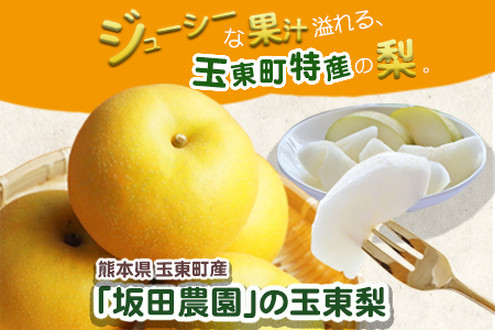 『坂田農園』の玉東梨 期間限定 予約受付中 約5kg《8月中旬-9月末頃出荷》 熊本県玉名郡玉東町産『坂田農園』｜ブランド梨 人気梨 特産品梨 熊本県梨 玉東町梨 大人気返礼品