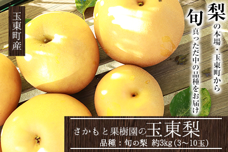 梨 さかもと果樹園 約3kg 3玉-10玉前後 期間限定 玉東梨