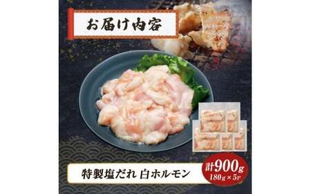 【自社農場和牛】黒毛和牛 特製塩だれ白ホルモン 900g （国産 黒毛和牛 宮崎牛 牛肉 塩だれ ホルモン 白ホルモン 冷凍 宮崎県 小林市）