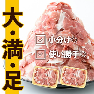 ＜定期便・計3回(隔月)＞ 豚こま 九州産 豚肉 小間切れ 500g×2P×3回 計3kg【ナンチク】i1207-B