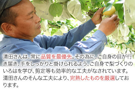 【日付指定不可】『清田果樹園』の原倉梨 期間限定 予約受付中 たっぷり約5kg 6-14玉前後《9月上旬-10月上旬頃出荷》 果汁あふれるシャキシャキ食感！新高梨 新興梨 あきづき 豊水梨 熊本県玉名郡玉東町『 