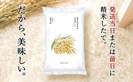 【定期便6ヶ月・下旬発送】《令和7年産》北海道産ゆめぴりか 10kg(通常パック5kg×2袋)