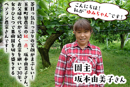 ゆみちゃん農園の玉東梨 約5kg(7～16玉前後)《2026年8月下旬-10月上旬頃出荷》 熊本県玉名郡玉東町 ｜ブランド梨 人気梨 特産品梨 熊本県梨 玉東町梨 大人気返礼品