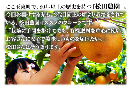 【先行予約】『松田農園』のくまもと梨 期間限定 たっぷり約5kg 8-18玉前後《7月下旬-9月末頃出荷》 予約受付中 熊本県玉名郡玉東町『松田農園』｜ブランド梨 人気梨 特産品梨 熊本県梨 玉東町梨 大人気返礼品