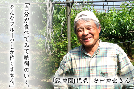 『緑伸園』旬の梨 たっぷり約3kg (旬の品種をお届けします！) 4-8玉前後入り《8月中旬-9月下旬頃出荷》 期間限定 予約受付中熊本県玉名郡玉東町産　｜ブランド梨 人気梨 特産品梨 熊本県梨 玉東町梨 大人気返礼品
