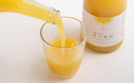 無添加 果汁100％ 河内晩柑ジュース 720ml×3本入 晩柑 柑橘 みかん 蜜柑 ミカン 飲料 ジュース 100％ 愛媛みかん 愛媛県産 【2026年5月上旬～12月上旬まで発送予定】【えひめの町（超）推し！（愛南町）】（576-1）