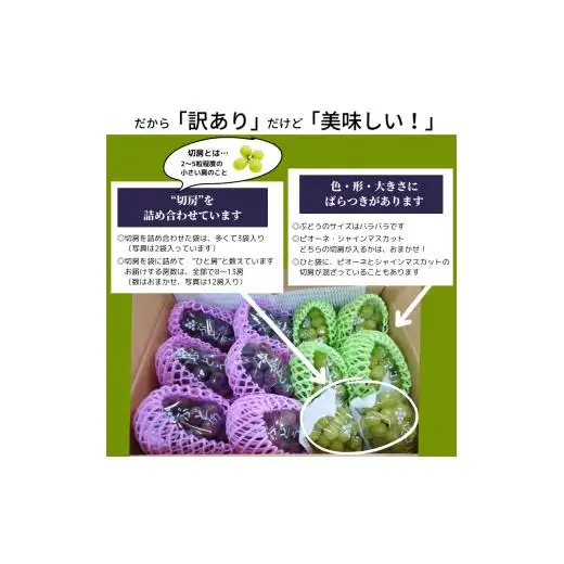 もりおか農園のよろこびぶどう ピオーネとシャインマスカットの詰め合わせ 約5kg 8～13房(切房込み) 訳あり【先行予約 2026年10月上旬から順次発送】