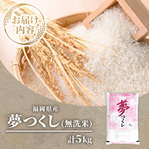 ≪令和7年産≫【無洗米】【食味鑑定士厳選】福岡県産 夢つくし(計5kg) 白米 無洗米 米 お米 おこめ ごはん ゆめつくし ご飯 常温 福岡県産 ブランド米 常温 常温保存 【ファインリョーコク】as34-010