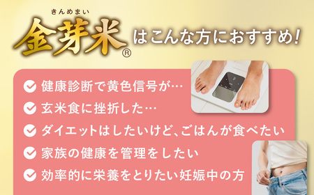 金芽米 定期便5kg×2回 金芽米