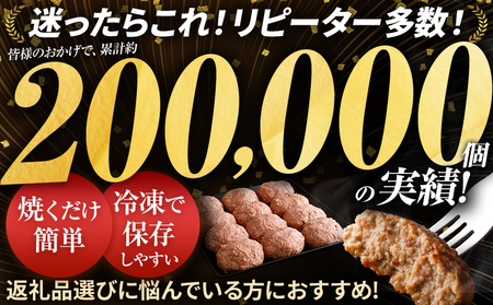 ハンバーグ 佐賀牛入り  120g 8個 生ハンバーグ