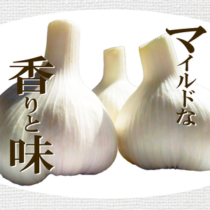 乾燥にんにく 500g 【 にんにく 】 