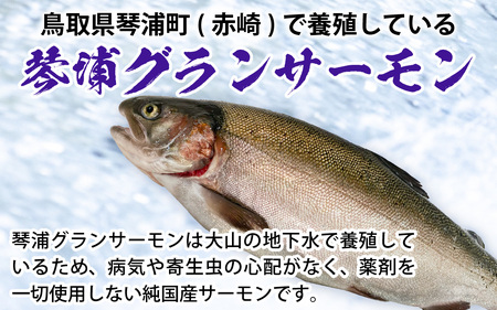 【訳あり】無投薬養殖 もったいない サーモン 焼ほぐし身 1本（80g） 国産 鳥取 琴浦グランサーモン